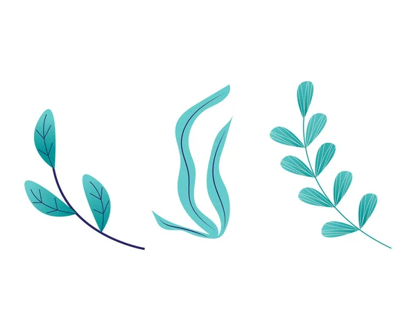 Brillante flor de primavera de hierba rica crecen aislados en blanco, ilustración vectorial de dibujos animados. Hoja verde en pedúnculo tallo, caída diferente maleza. — Vector de stock