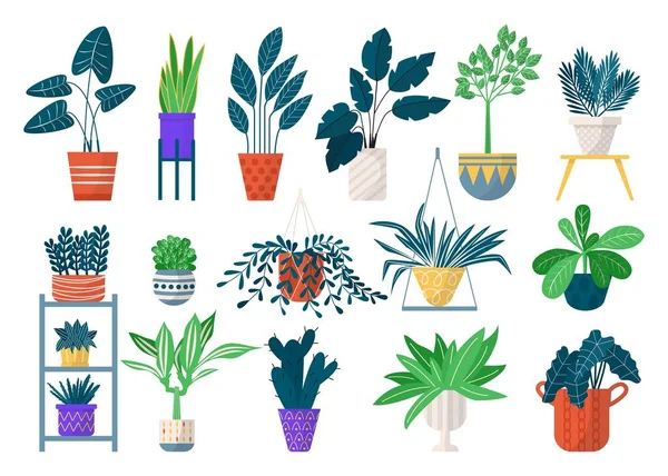 Plantas de sala verdes em vasos ícone conjunto de ilustrações vetoriais isoladas. Casa vegetação, flores e vasos com suculentas, cactos . —  Vetores de Stock