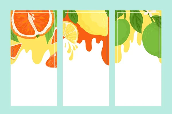 Citrus banner set vector Ilustração. Cartaz com frutos tropicais brilhantes. Sobremesa de vitamina deliciosamente refrescante no verão . — Vetor de Stock
