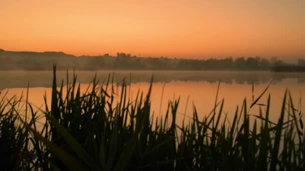 Amanecer en el timelapse lago — Vídeo de stock