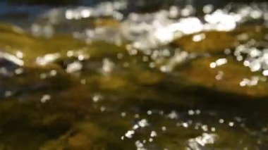 Orman dağ dere bulanıklık