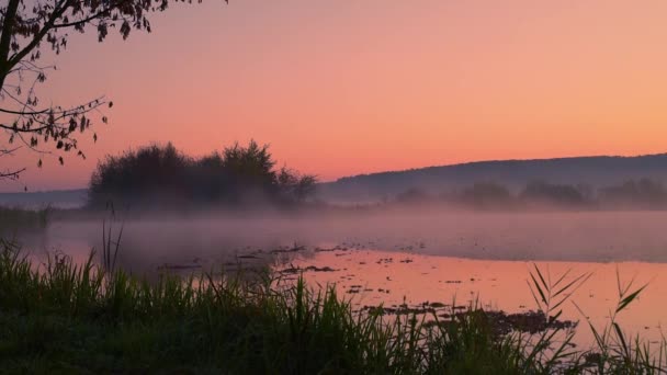 Fumée sur l'eau à l'aube 