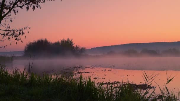 Humo en el agua al amanecer — Vídeo de stock