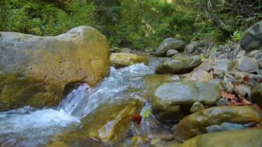 Orman Dağı Nehri