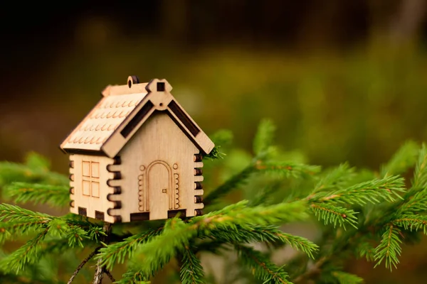 Modèle de maison en bois dans la forêt. concept — Photo