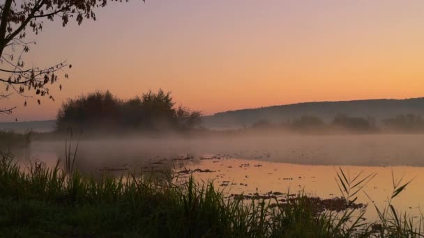 Fumée sur l'eau à l'aube — Video