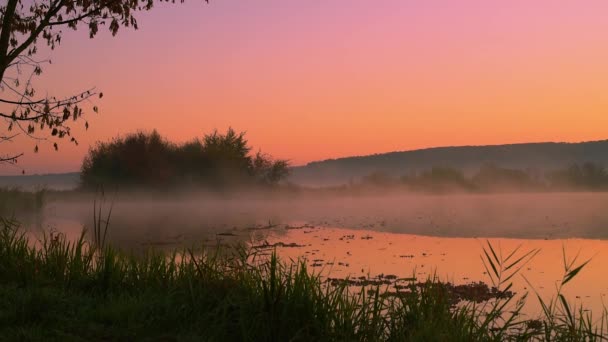 Humo en el agua al amanecer — Vídeo de stock