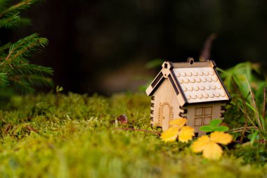 Ahşap ev modeli ormanın içinde. kavramı