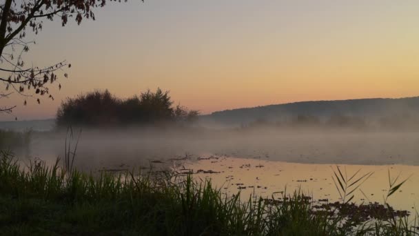 Humo en el agua al amanecer — Vídeo de stock