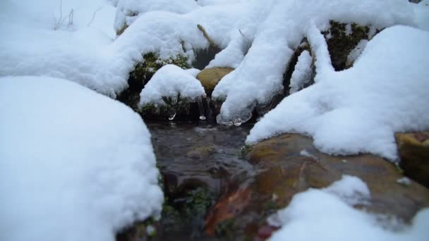 Stream met sneeuw en ijs in de winter-bos — Stockvideo