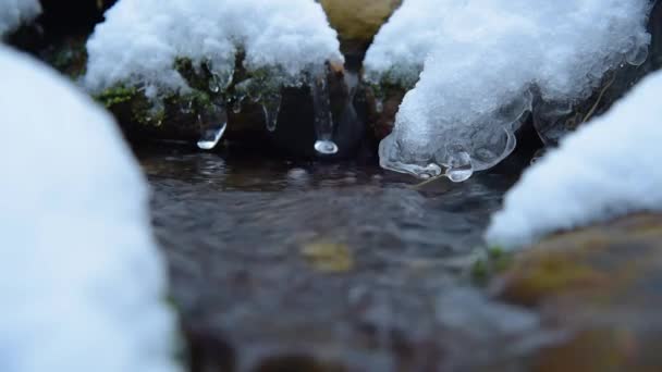 Flusso con neve e ghiaccio nei boschi invernali — Video Stock