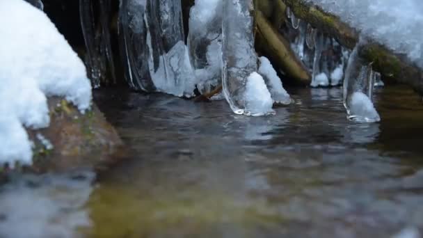 Flusso con neve e ghiaccio nei boschi invernali — Video Stock