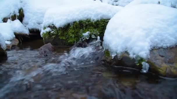 Потік зі снігом і льодом в зимовому лісі — стокове відео