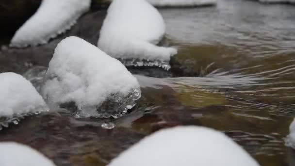 Stream s sněhu a ledu v zimě lese — Stock video