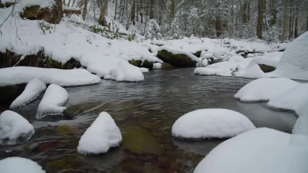 Winter Bergbeek Forest Stream Berg Rivier Schoonheid Natuur Winterlandschap Een — Stockvideo