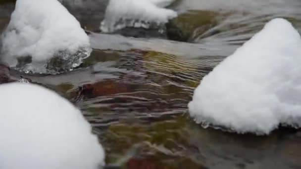 Stream met sneeuw en ijs in de winter-bos — Stockvideo