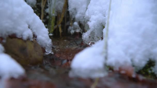 Stream met sneeuw en ijs in de winter-bos — Stockvideo