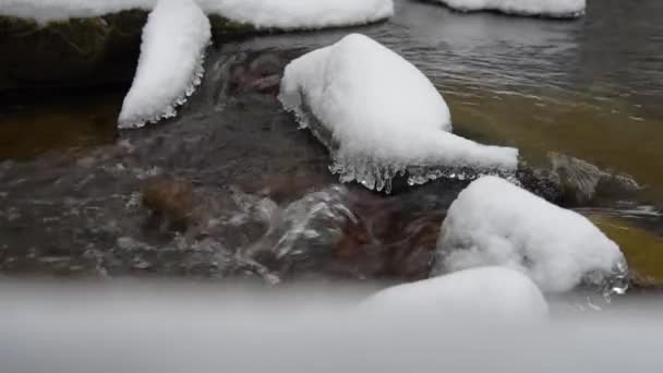 Ström med snö och is i vinter skogen — Stockvideo