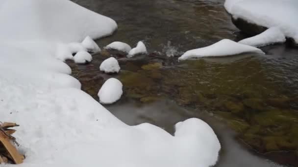 Fuego en la nieve en el bosque — Vídeos de Stock