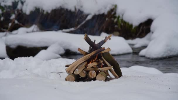 Ogień na śniegu, w lesie — Wideo stockowe