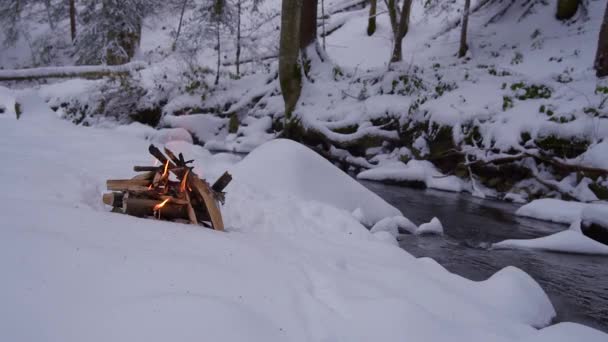 Feu sur la neige dans la forêt — Video