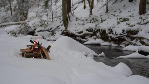 Fuego en la nieve en el bosque — Vídeos de Stock