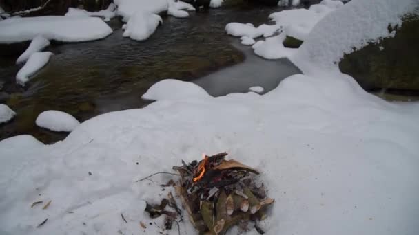 Fuego en la nieve en el bosque — Vídeo de stock