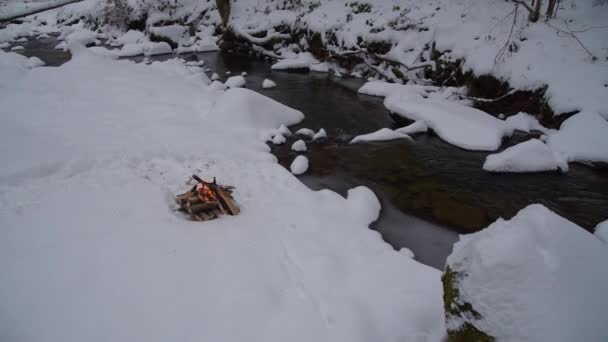 Brand på snön i skogen — Stockvideo