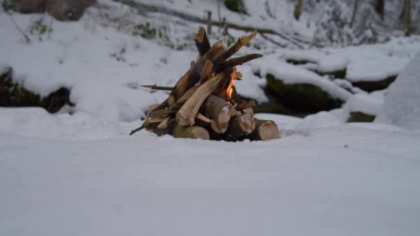 Feu sur la neige dans la forêt — Video