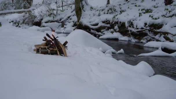 Fuego en la nieve en el bosque — Vídeos de Stock