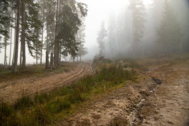 Güneş ışınları siste kırmak