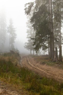 Güneş ışınları siste kırmak