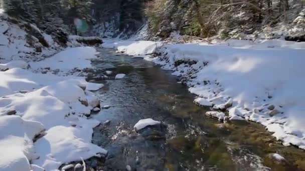 Winter-Bergfluss — Stockvideo