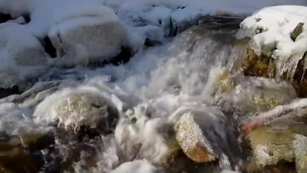 Winter berg rivier — Stockvideo