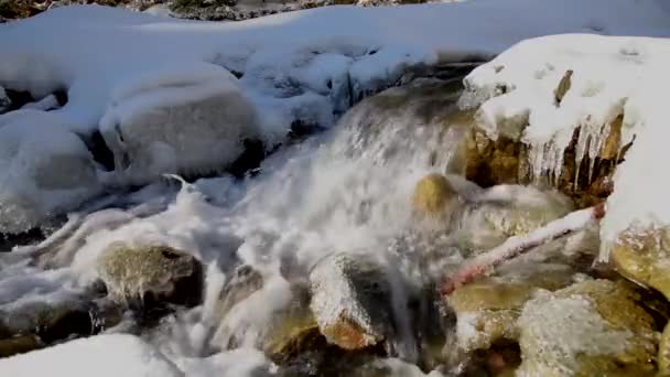 Rivière de montagne hiver 