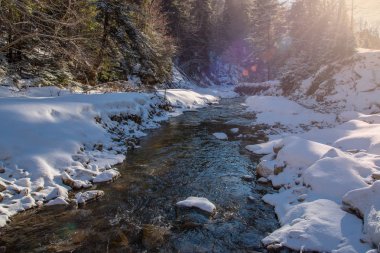 Kış dağlarda taş üzerinde Rapids'de akan su