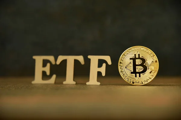 Taş arka plan üzerinde Etf metin ile Bitcoin sikke