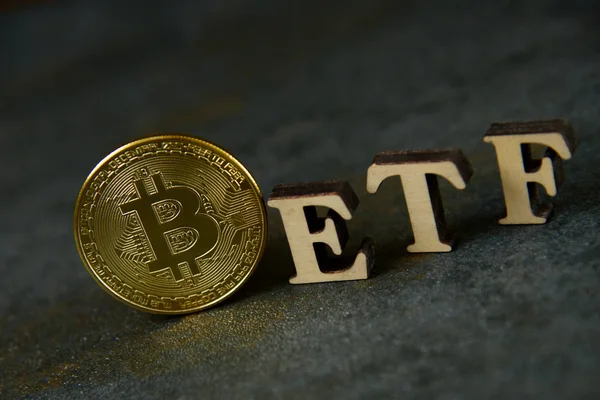 Taş arka plan üzerinde Etf metin ile Bitcoin sikke