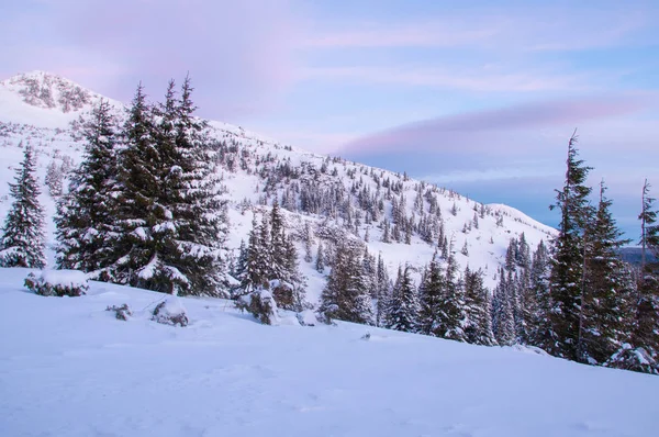 Amazing landscape in the winter mountains at sunrise — Stock Photo, Image