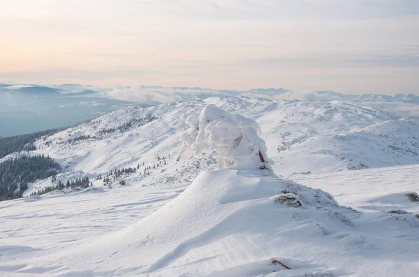 Increíble paisaje en las montañas de invierno al amanecer —  Fotos de Stock