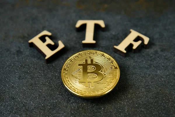 Taş arka plan üzerinde Etf metin ile Bitcoin sikke