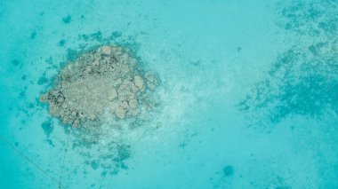 Hava üstten görünüm Mercan Adası Maldivler Hint Okyanusu.