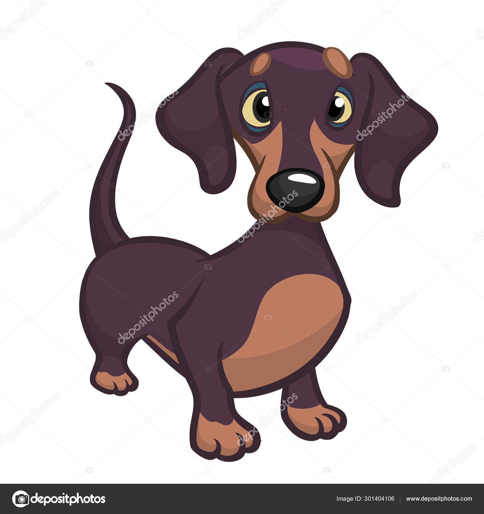 pix Teckel Dog Vector cartoon cute dachshund dog vector illustration vector image by c drawkman gmail com vector stock 301404106