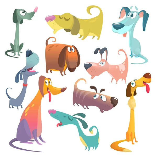 Juego de perros de dibujos animados. Ilustraciones vectoriales de perros. Retriever, dachshund, terrier, pitbull, spaniel, bulldog, basset hound, afghan hound, borzoi — Archivo Imágenes Vectoriales