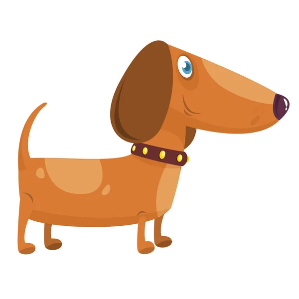 Cartoon Funny Dachshund Dog. Illustrazione vettoriale — Vettoriale Stock