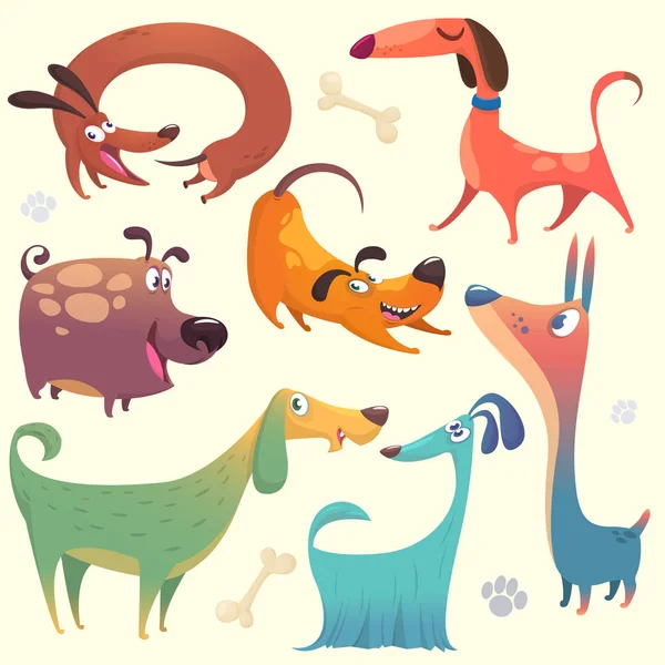 Cartoon dogs set. Vector illustrations of dogs.  Retriever, dachshund, terrier,pitbull, spaniel, bulldog, basset hound, afghan hound, borzoi — Stock Vector