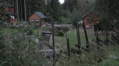 Orman manzarası, hırıltılı nehir. Küçük, ahşap bir köprü nehri geçiyor..