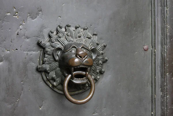 Metal door knocker in shape of lion\'s head