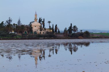 Hala Sultan Tekke ve Larnaka Tuz Gölü, Kıbrıs-yakın yansıma göster
