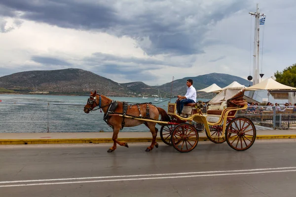 カルキス ギリシャ 2018 茶色の馬馬車ギリシャのカルキス古代市の路上で — ストック写真